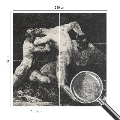Fototapeta na ścianę Fototapeta na ścianę Pojedynek bokserów