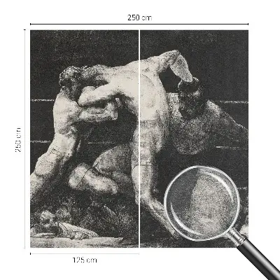 Fototapeta na ścianę z motywem pojedynku bokserów