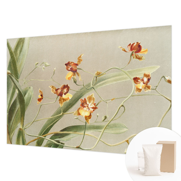 Fototapeta fizelinowa do sypialni z motywem klasycznych orchidei
