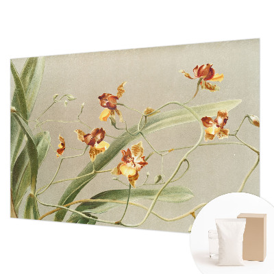 Fototapeta fizelinowa do sypialni z motywem klasycznych orchidei