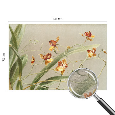 Fototapeta fizelinowa do sypialni z motywem klasycznych orchidei