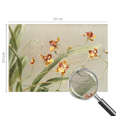 Fototapeta fizelinowa do sypialni z motywem klasycznych orchidei