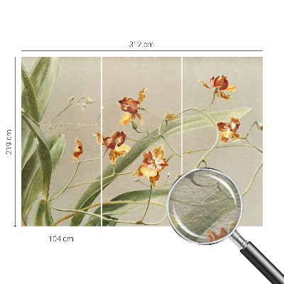 Fototapeta fizelinowa do sypialni z motywem klasycznych orchidei