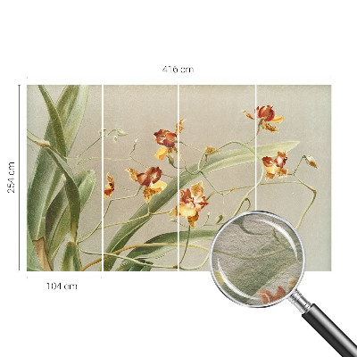 Fototapeta fizelinowa do sypialni z motywem klasycznych orchidei