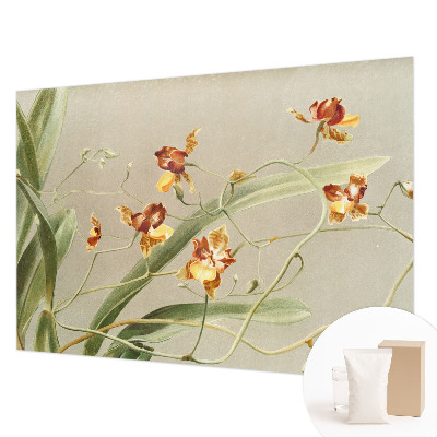 Fototapeta fizelinowa do sypialni z motywem klasycznych orchidei