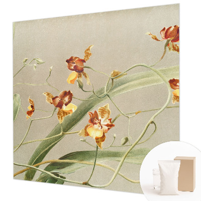Fototapeta fizelinowa do sypialni z motywem klasycznych orchidei