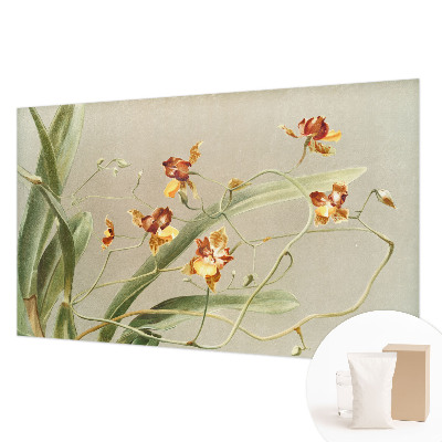Fototapeta fizelinowa do sypialni z motywem klasycznych orchidei