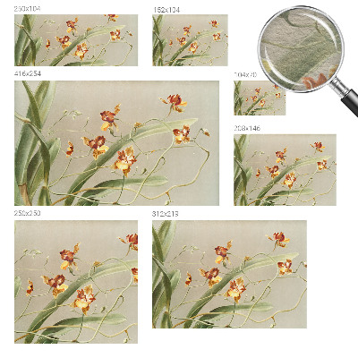 Fototapeta fizelinowa do sypialni z motywem klasycznych orchidei