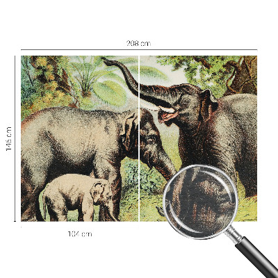 Fototapeta fizelinowa z nadrukiem Fototapeta fizelinowa z nadrukiem Rodzinne słonie