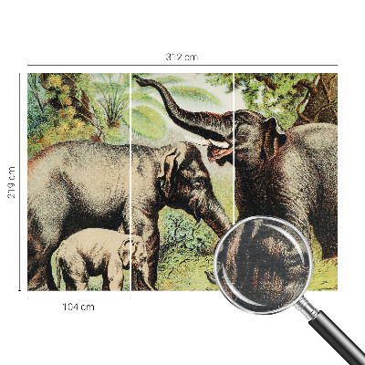 Fototapeta fizelinowa z nadrukiem Fototapeta fizelinowa z nadrukiem Rodzinne słonie