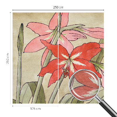 Tapeta fotograficzna Kwiaty liliowca