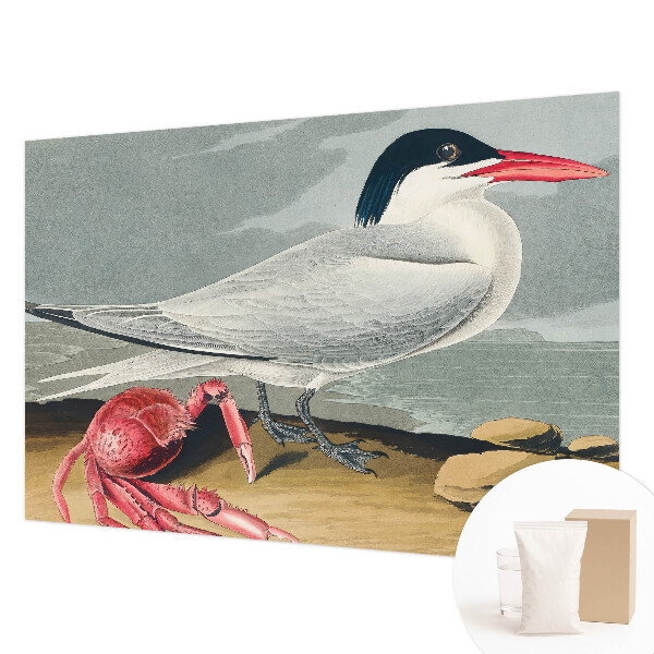 Fototapeta fizelinowa do sypialni Morska sceneria