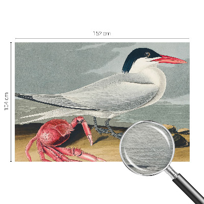 Fototapeta fizelinowa do sypialni Morska sceneria