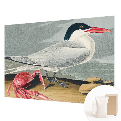 Fototapeta fizelinowa do sypialni Morska sceneria