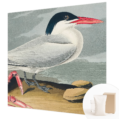 Fototapeta fizelinowa do sypialni Morska sceneria