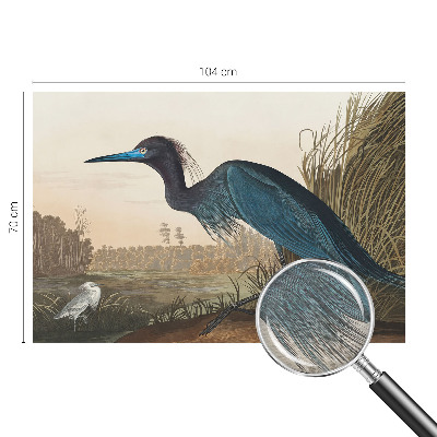 Dekoracyjna fototapeta na ścianę Ptaki nadwodne