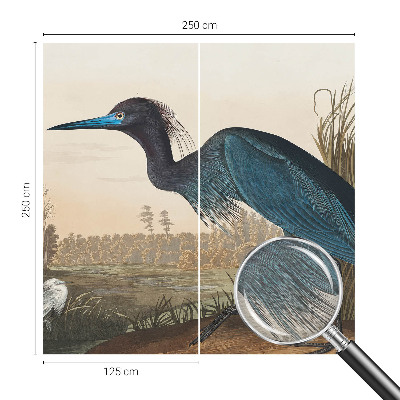 Dekoracyjna fototapeta na ścianę Ptaki nadwodne