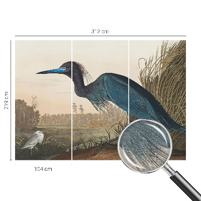 Dekoracyjna fototapeta na ścianę Ptaki nadwodne