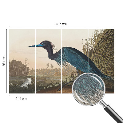 Dekoracyjna fototapeta na ścianę Ptaki nadwodne