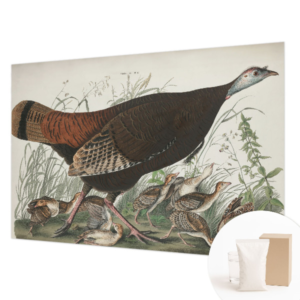 Fototapeta fizelinowa z nadrukiem Fototapeta fizelinowa z nadrukiem Naturalna harmonia