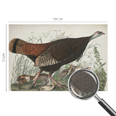 Fototapeta fizelinowa z nadrukiem Fototapeta fizelinowa z nadrukiem Naturalna harmonia