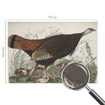 Fototapeta fizelinowa z nadrukiem Fototapeta fizelinowa z nadrukiem Naturalna harmonia