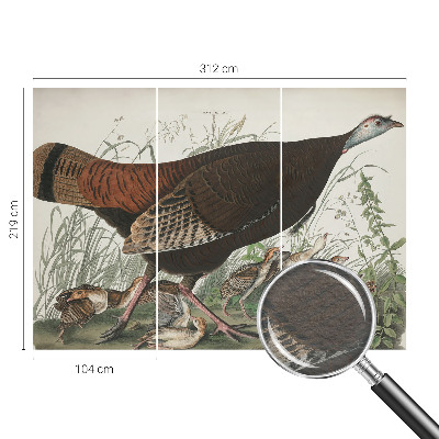 Fototapeta fizelinowa z nadrukiem o motywie naturalnej harmonii