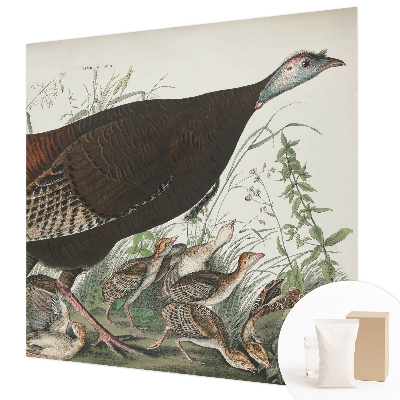 Fototapeta fizelinowa z nadrukiem Fototapeta fizelinowa z nadrukiem Naturalna harmonia