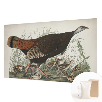 Fototapeta fizelinowa z nadrukiem Fototapeta fizelinowa z nadrukiem Naturalna harmonia