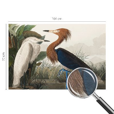 Tapeta fotograficzna Ptaki w roślinach