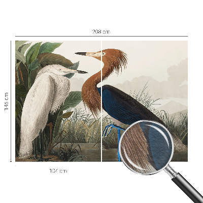 Tapeta fotograficzna Ptaki w roślinach