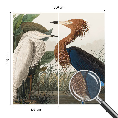 Tapeta fotograficzna Ptaki w roślinach