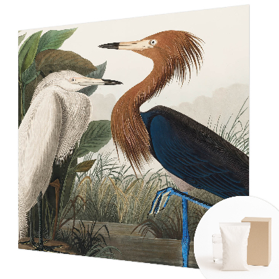 Tapeta fotograficzna Ptaki w roślinach