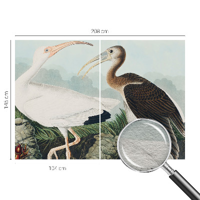 Fototapeta na ścianę Ptasia para