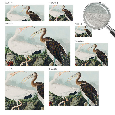 Fototapeta na ścianę Ptasia para