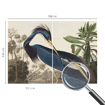 Dekoracyjna fototapeta na ścianę Egzotyczna przyroda