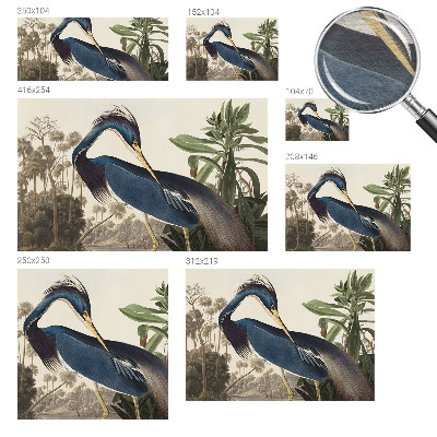 Dekoracyjna fototapeta na ścianę Egzotyczna przyroda