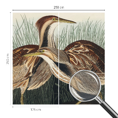 Tapeta fotograficzna fizelinowa Ptaki realistyczne