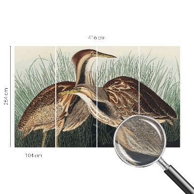 Tapeta fotograficzna fizelinowa Ptaki realistyczne