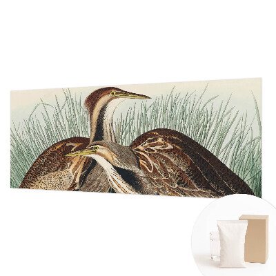 Tapeta fotograficzna fizelinowa Ptaki realistyczne