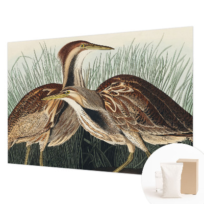 Tapeta fotograficzna fizelinowa Ptaki realistyczne