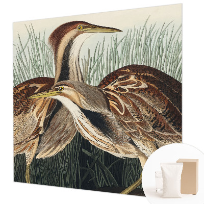 Tapeta fotograficzna fizelinowa Ptaki realistyczne