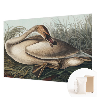 Nowoczesna fototapeta do salonu Naturalny ptak