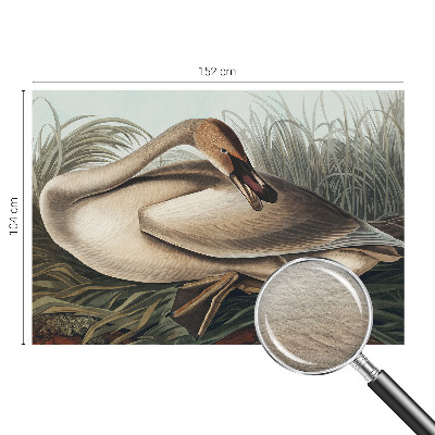 Nowoczesna fototapeta do salonu z motywem naturalnego ptaka