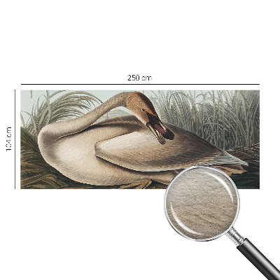 Nowoczesna fototapeta do salonu z motywem naturalnego ptaka
