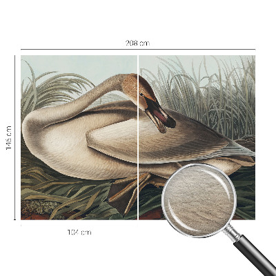 Nowoczesna fototapeta do salonu z motywem naturalnego ptaka