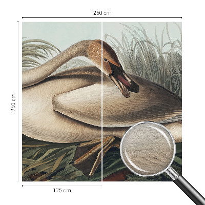Nowoczesna fototapeta do salonu z motywem naturalnego ptaka