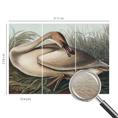 Nowoczesna fototapeta do salonu z motywem naturalnego ptaka