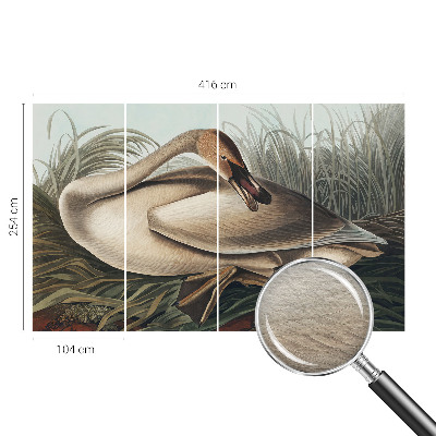 Nowoczesna fototapeta do salonu z motywem naturalnego ptaka