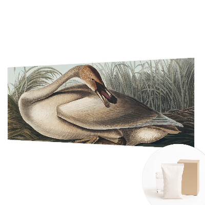 Nowoczesna fototapeta do salonu z motywem naturalnego ptaka